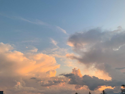 Appartement de 3.5 pièces neuf à louer à VercorinAppartement Situation dominanteAppartement Bella Lui n° 181 image 12