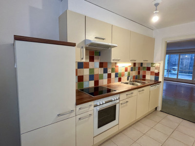 Spacieux 4 pièces avec terrasse image 1