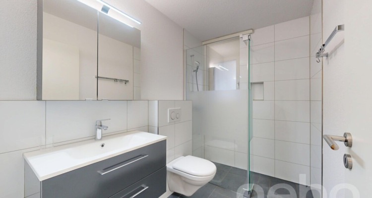 5.5-Zi. Einfamilienhaus mit zusätzlicher 2.5-Zi. Einliegerwohnung image 10