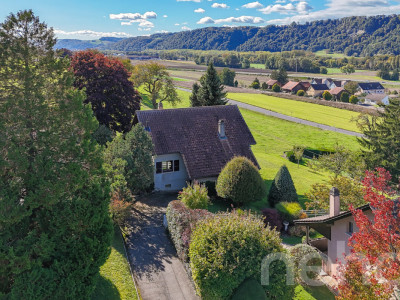 Charme, espace et lumière: villa individuelle à fort potentiel image 11