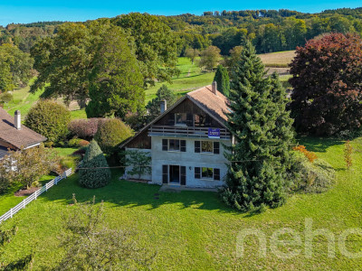 Charme, espace et lumière: villa individuelle à fort potentiel image 12