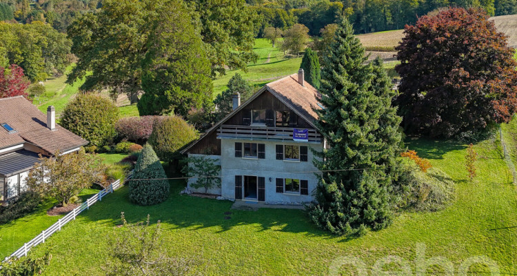 Charme, espace et lumière: villa individuelle à fort potentiel image 12