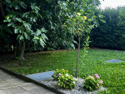 Bel appartement de 4,5 pièces au rez., jardin privatif et places de parc image 11