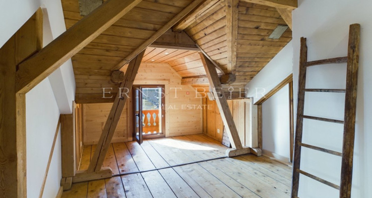 Belle maison de maître entièrement rénovée - 2 appartements image 11