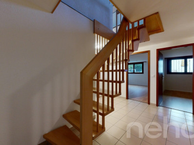 Duplex-Gartenwohnung direkt am See image 9