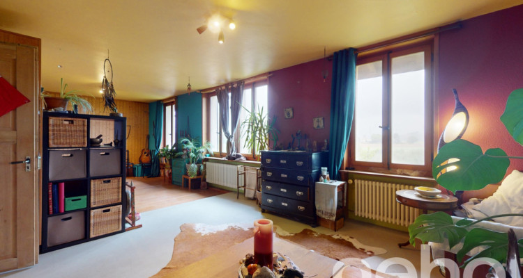 Grosszügiges 10-Zimmer EFH in Safern! image 5