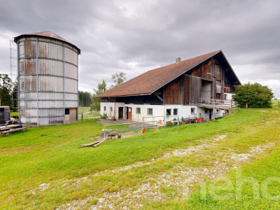 Idyllische Wohnung ideal für Pferdeliebhaber image 11