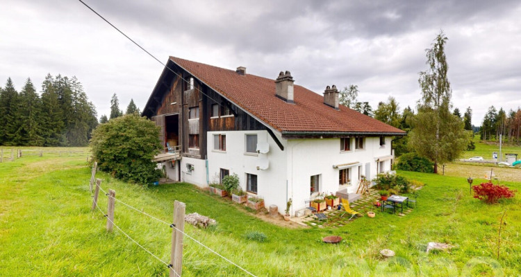 Idyllische Wohnung ideal für Pferdeliebhaber image 1