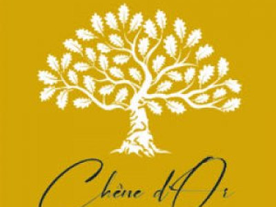 Calme et verdure, la vie en beauté, appartement lumineux de 4.5 pièces  image 9