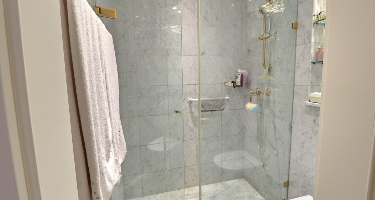 Très bel appartement avec vue Lac en viager occupé sans rente image 10