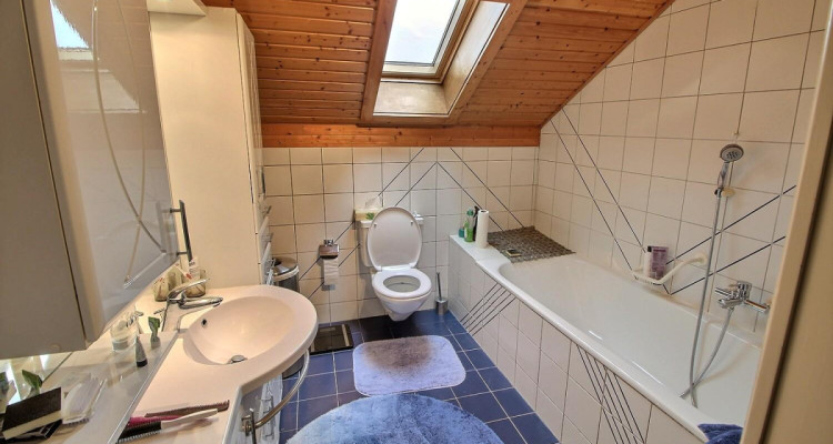 Très jolie maison familiale en viager occupé sans rente image 7