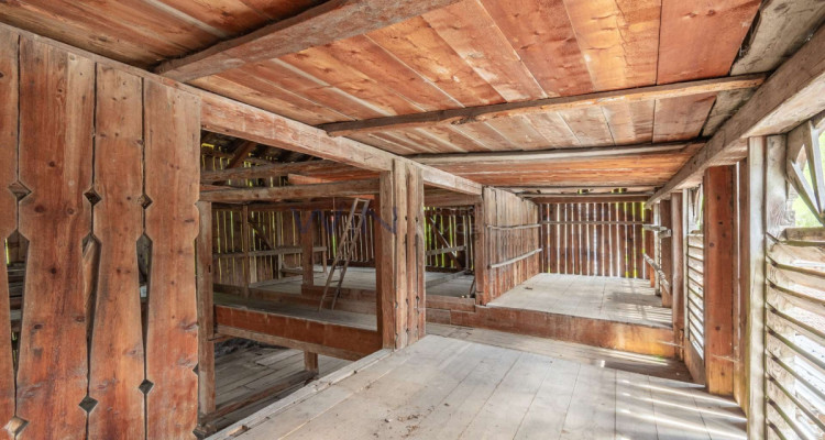 Heimat in der Bündner Bergwelt image 5