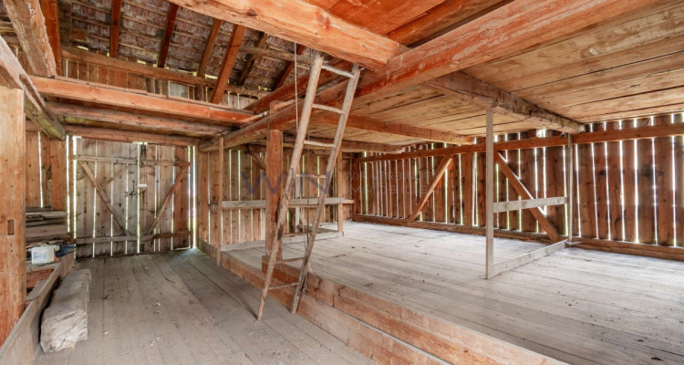 Heimat in der Bündner Bergwelt image 6