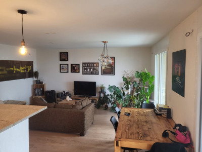 Appartement 3,5 à Bavois 2120fr image 1