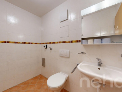 Appartement de 4,5 pièces avec vue panoramique au c?ur de Bursins image 11