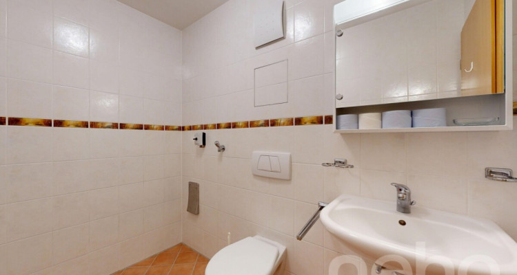 Appartement de 4,5 pièces avec vue panoramique au c?ur de Bursins image 11