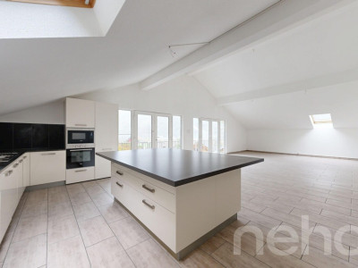 Spacieux appartement lumineux avec 2 places de parc à Collonges image 1