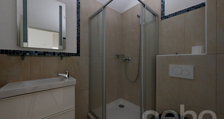 Spacieux appartement lumineux avec 2 places de parc à Collonges image 10