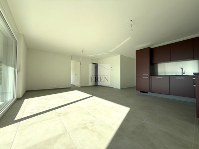 Superbe Appartement 3,5 pièces avec grand balcon-terrasse de 40m2 au 2ème étage image 4