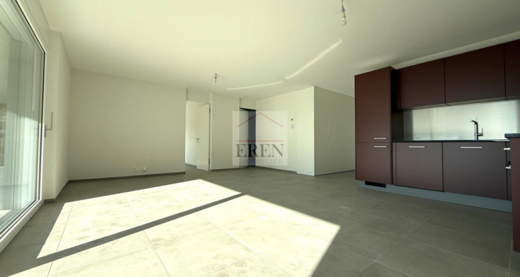 Superbe Appartement 3,5 pièces avec grand balcon-terrasse de 40m2 au 2ème étage image 4