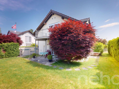 Lichtdurchflutetes EFH mit Gartenidylle und separate Garage image 4