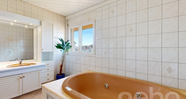 Duplex en attique lumineux avec vue dégagée, sans vis-à-vis image 12