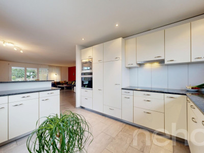 Ihr neues Zuhause: lichtdurchflutet, grosszügig und familienfreundlich image 5