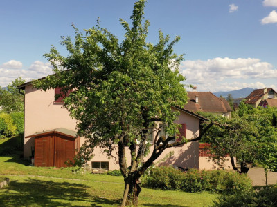 Vivre au vert, dans un quartier de charme, appartement 4.5 pièces ensoleillé image 7