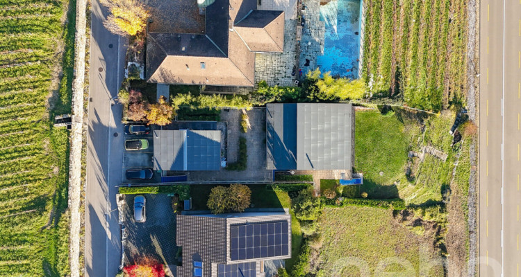 Charmante maison comprenant deux appartement ! image 12