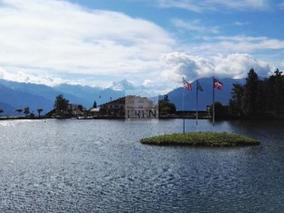 Appartement traversant 4,5 pièces neuf au rez supérieur avec 2 terrasses (nord et sud) image 11