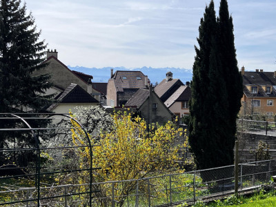 Écrin de lumière en rez-de-jardin avec vue imprenable sur le lac et les Alpes image 6