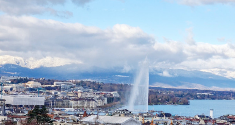 Blue Lake Apartment, Geneva Center casatax image 2