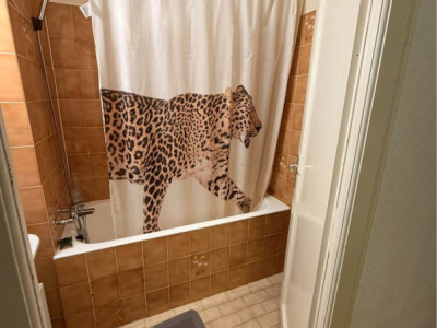 Appartement 3,5 pièces aux Délices image 5