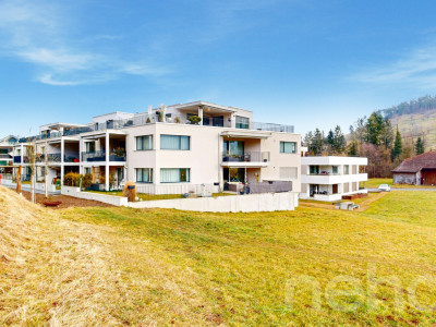 Moderne Attikawohnung mit grosser Südterrasse image 4