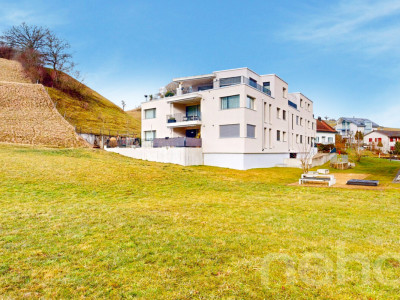 Moderne Attikawohnung mit grosser Südterrasse image 12