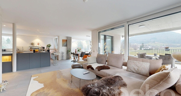 Moderne Attikawohnung mit grosser Südterrasse image 1