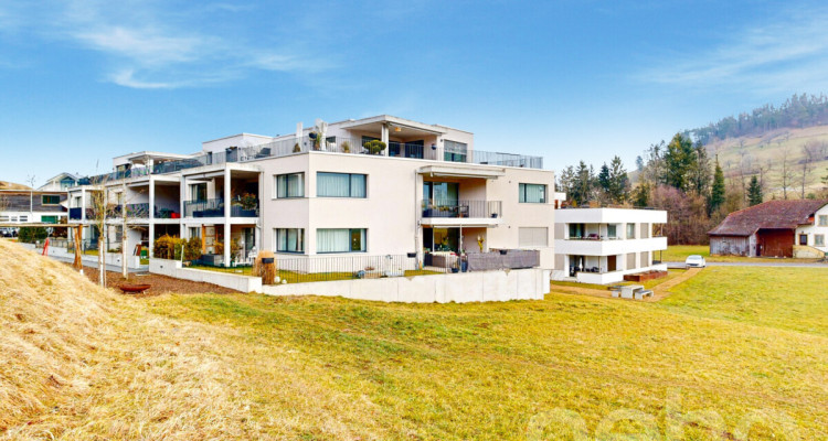 Moderne Attikawohnung mit grosser Südterrasse image 4