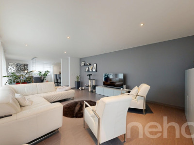 Maison individuelle familiale de 5.5 pièces avec jardin image 5