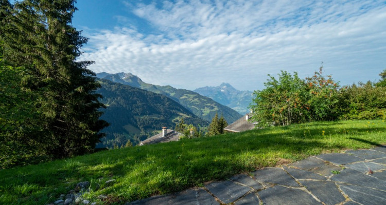 Gryon Immobilier vous propose un joli chalet sans vis à vis proche téléski des Fracherets image 18