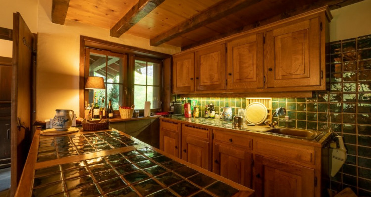 Gryon Immobilier vous propose un joli chalet sans vis à vis proche téléski des Fracherets image 7