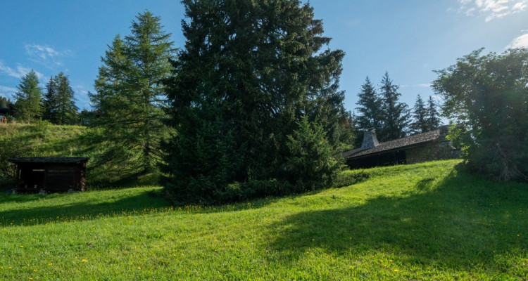 Gryon Immobilier vous propose un joli chalet sans vis à vis proche téléski des Fracherets image 16