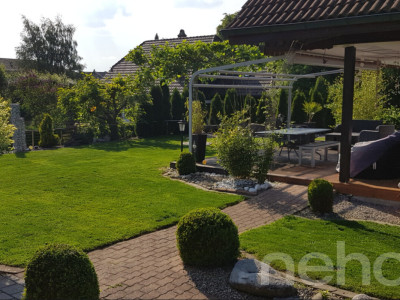 Einfamilienhaus im ruhigen Familienquartier mit grossem Umschwung image 3