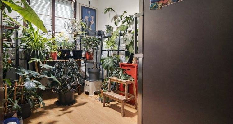 Appartement 3 pièces en rez-de-jardin avec terrasse & jardin privatif image 6