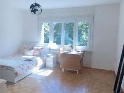 Studio situé aux Charmilles image 1