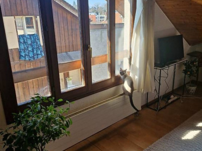 Appartement 3 pièces à Chêne-Bourg image 2