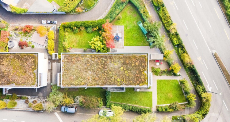 Stilvolle Doppelhaushälfte mit Garten und Weitblick in Reinach image 3