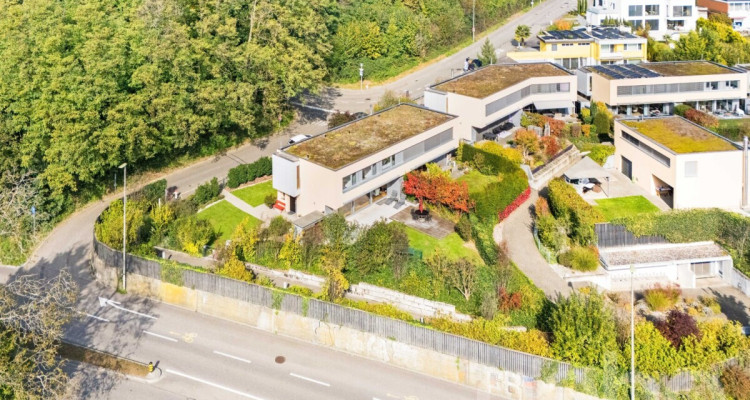 Stilvolle Doppelhaushälfte mit Garten und Weitblick in Reinach image 4