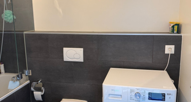 Très joli 2 pièces Hypercentre de Genève image 6