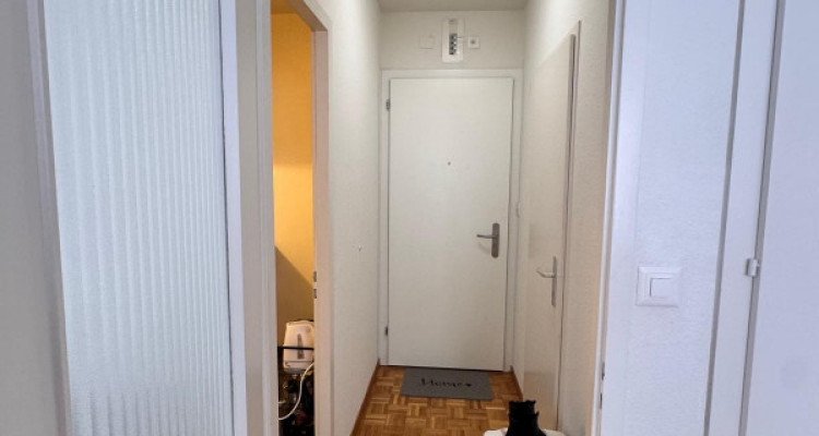 STUDIO à Carouge  image 5