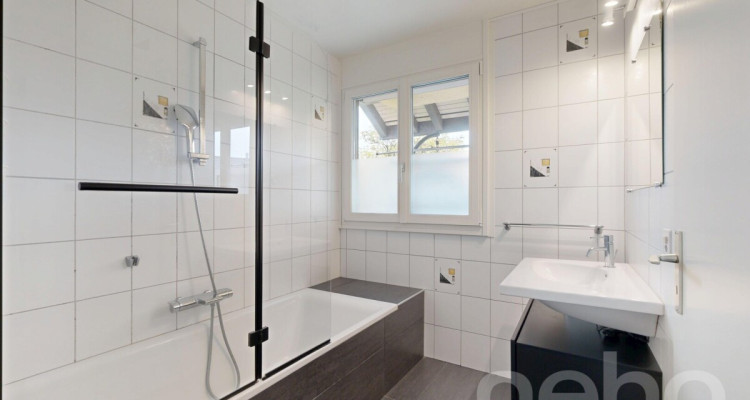 Au centre du village, vue lac image 10